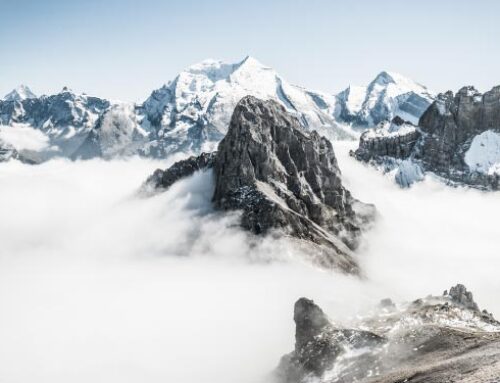 How online education can transform your career path