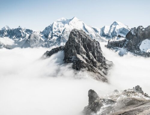 Stay motivated in online education: A student’s guide